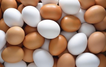 سلق البيضة الواحدة يستغرق ما يقارب 15 دقيقة في جبال الهمالايا .. لماذا؟