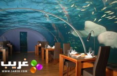 مطعم وكفتيريا تحت ماء البحر