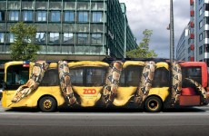 فنون دهان الحافلات